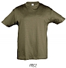 Camiseta Color Nio Regent Sols - Color Army